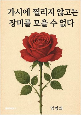 ���ÿ� ���� �ʰ��� ��̸� ���� �� ����