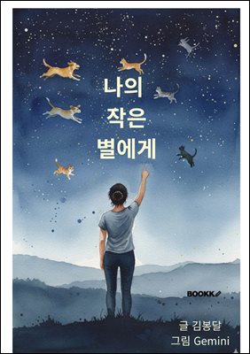 ���� ���� ������