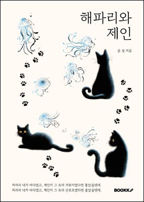 ���ĸ��� ����