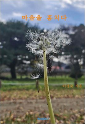 ������ ��ġ��