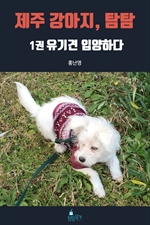 제주 강아지, 탐탐 1 - 유기견 입양하다