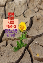 병에 따른 치료식품 3