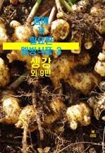 몸에 꼭 필요한 웰빙식품 3