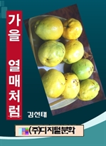 가을 열매처럼