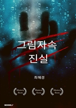 그림자 속 진실