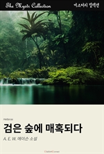 검은 숲에 매혹되다